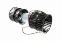 V25031619 Vemo