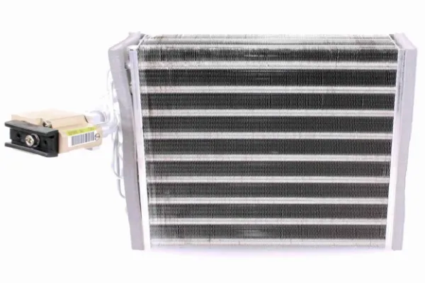 V10650014 Vemo