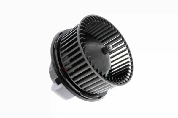 V25031623 Vemo