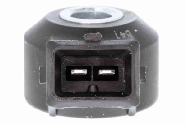V22720003 Vemo