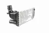Radiador de intercooler Citroen Jumper 244