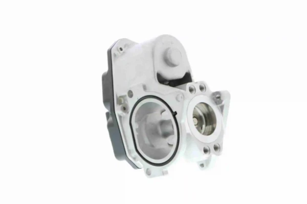 V10630045 Vemo