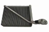 V10650016 Vemo