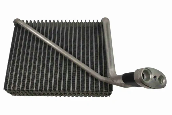V10650016 Vemo