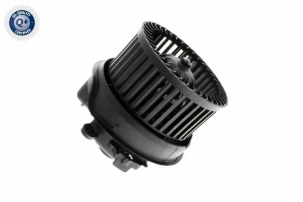 V22031834 Vemo