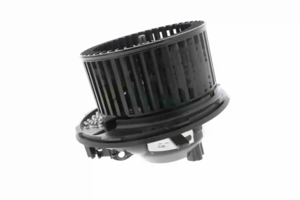 V15031935 Vemo