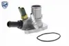 Termostato Fiat 500 312