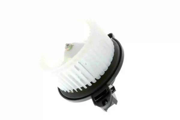 V15031920 Vemo