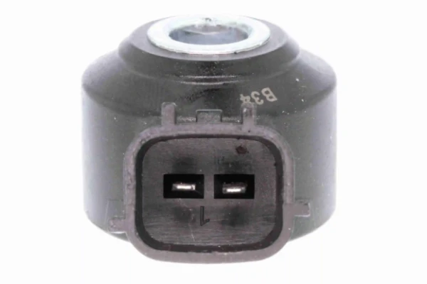 V38720016 Vemo