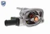 Termostato Fiat 500 312