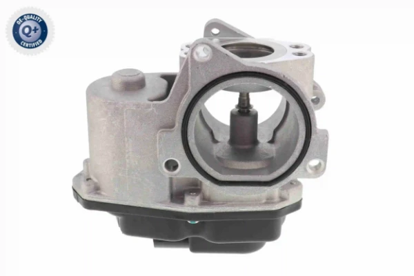 V10630045 Vemo