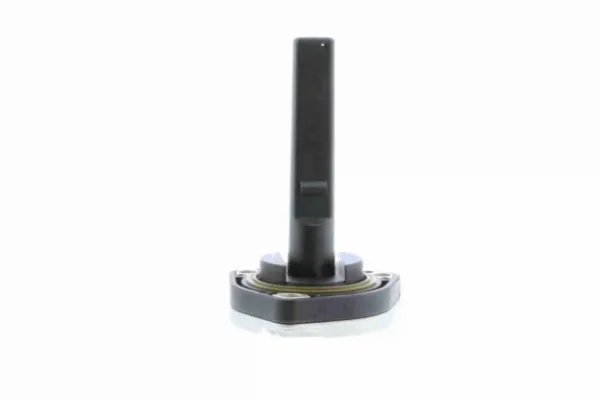 V20720462 Vemo