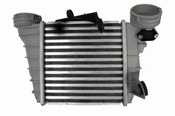 V10600004 Vemo