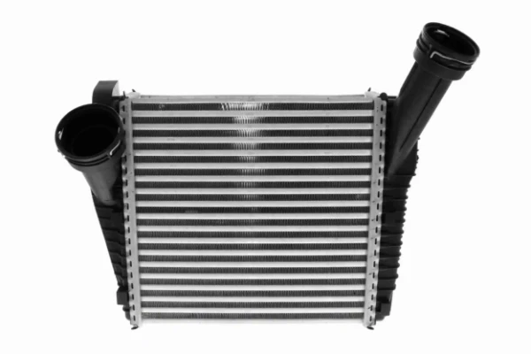 V10600062 Vemo