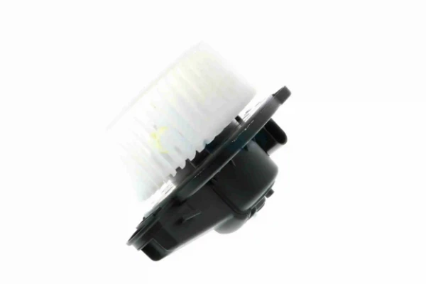 V15031920 Vemo