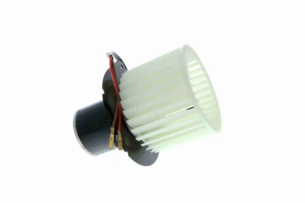 V25031626 Vemo