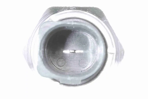 V15991999 Vemo