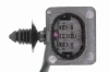 V25760041 Vemo