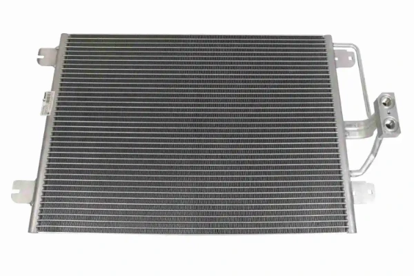 V46620006 Vemo