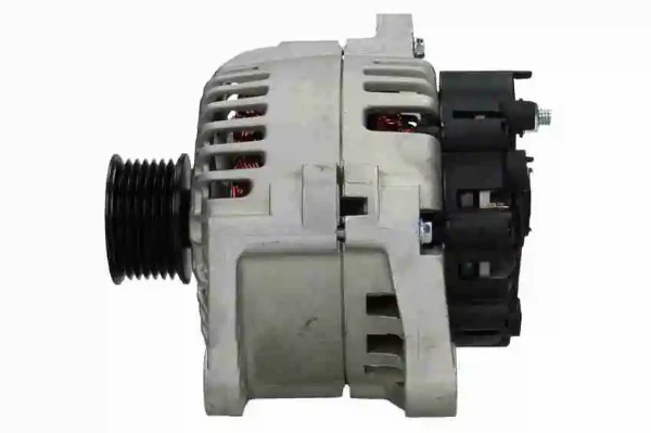 V461350008 Vemo