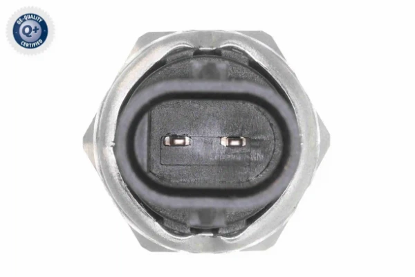 V10721534 Vemo