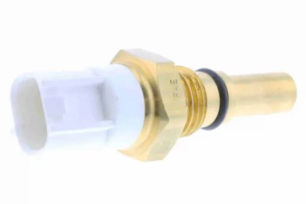 V70990028 Vemo