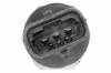 V24720199 Vemo