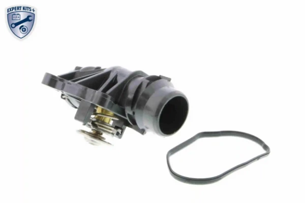 V20991265 Vemo