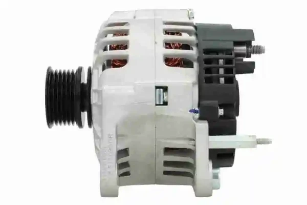 V101341920 Vemo