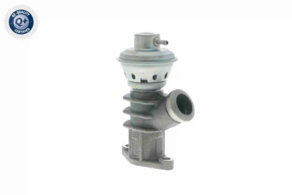V22630010 Vemo