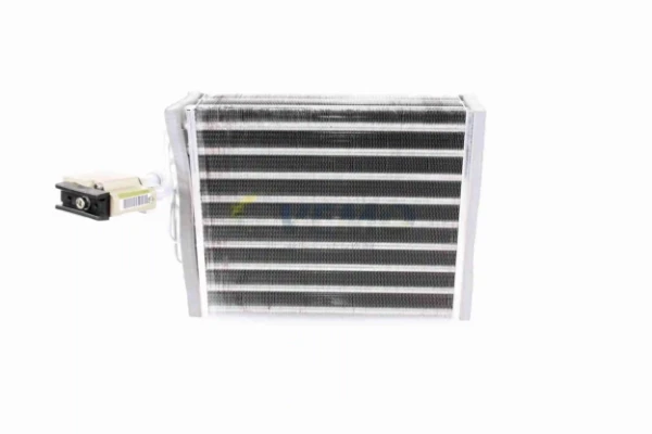 V10650014 Vemo
