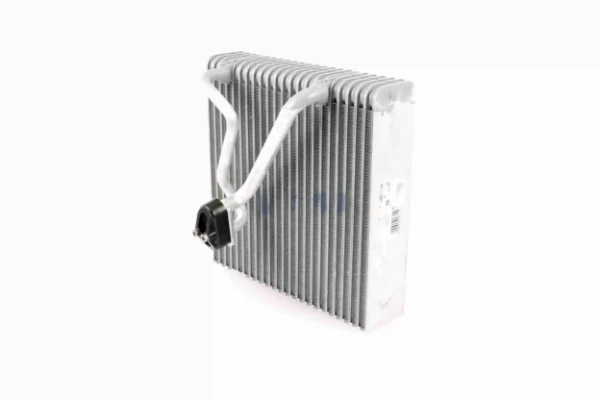 V10650007 Vemo