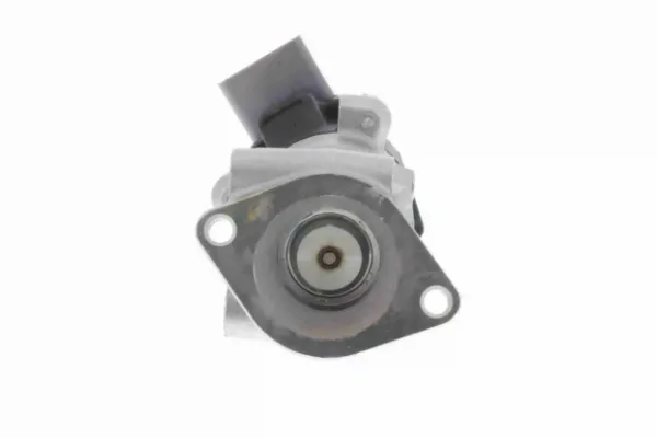 V226300021 Vemo
