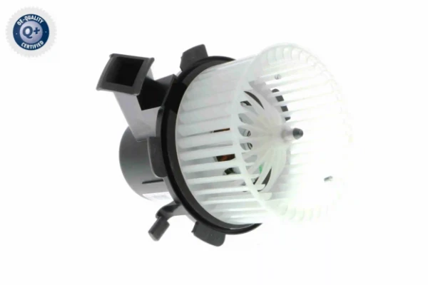 V30031787 Vemo
