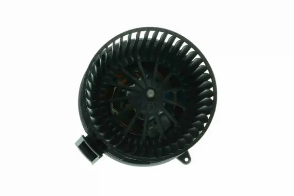 V22031826 Vemo