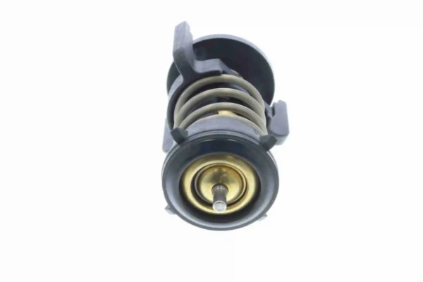 V15992100 Vemo