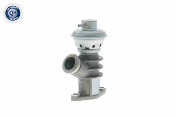 V22630010 Vemo