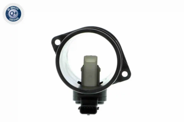 V46720149 Vemo