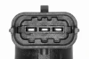 V25720087 Vemo