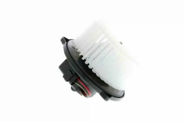 V15031920 Vemo
