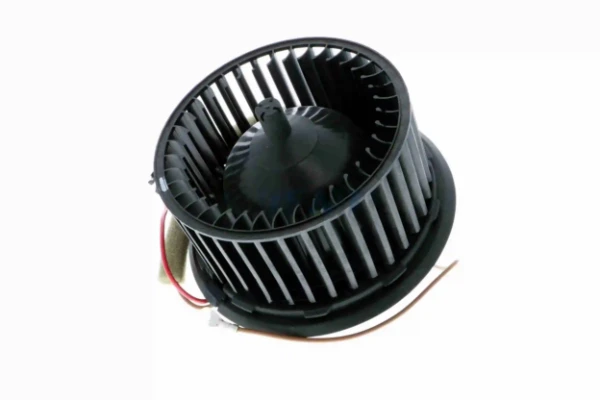 V15031896 Vemo