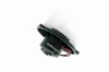 V15031920 Vemo