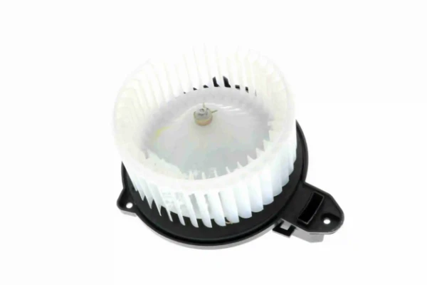 V15031920 Vemo
