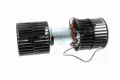 V25031619 Vemo