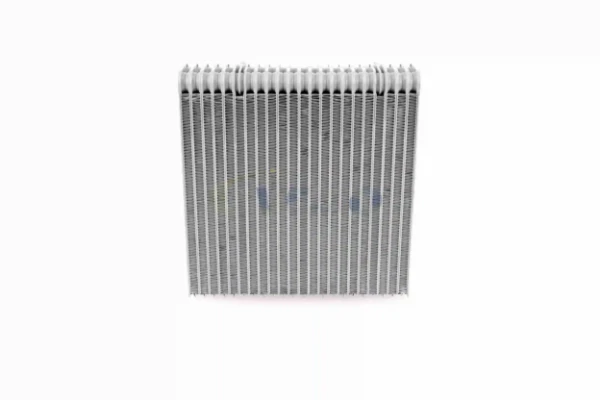 V10650007 Vemo