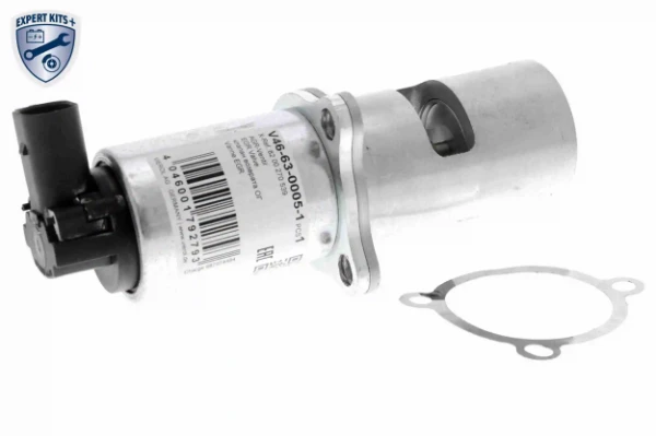 V466300051 Vemo