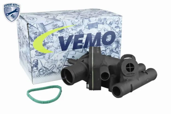 V46991358 Vemo