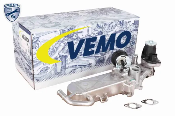 V10630083 Vemo
