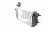 Radiador de intercooler Citroen Jumper 244