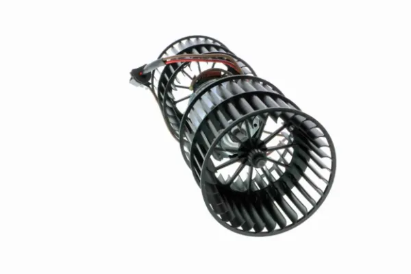 V25031619 Vemo